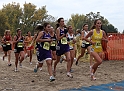 2010CIF XC GD3-0488